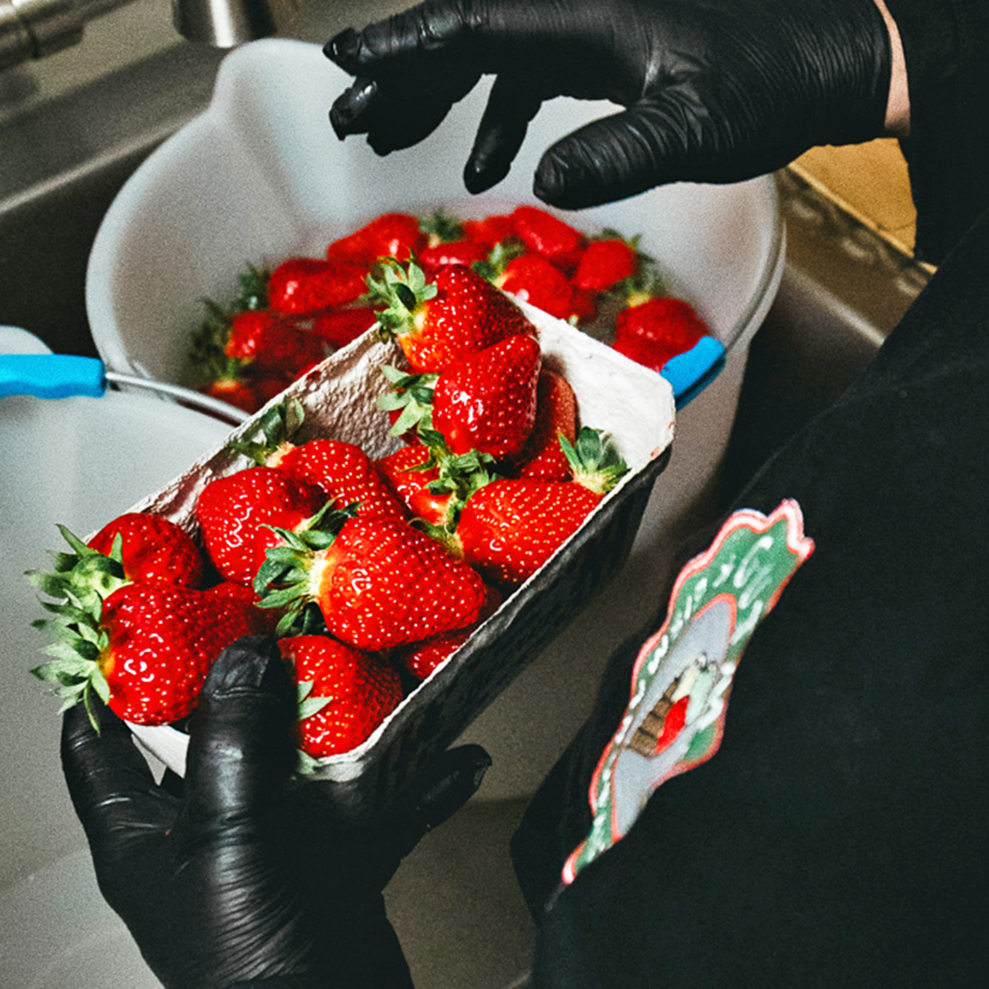 Erdbeeren_DSC05569